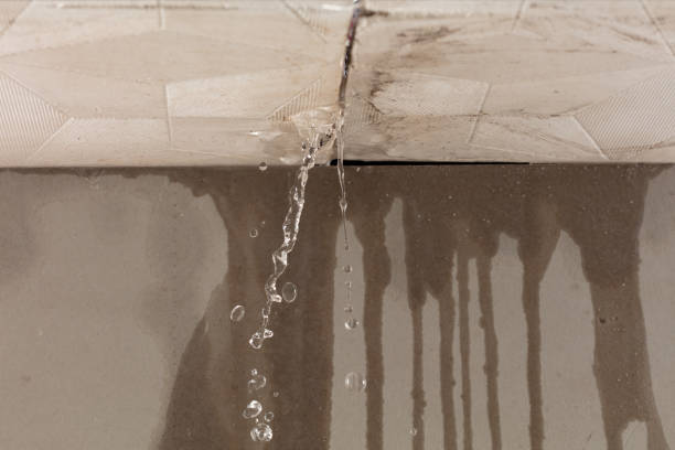 Professional Water Damage Inspection technician working in Belleville, IL